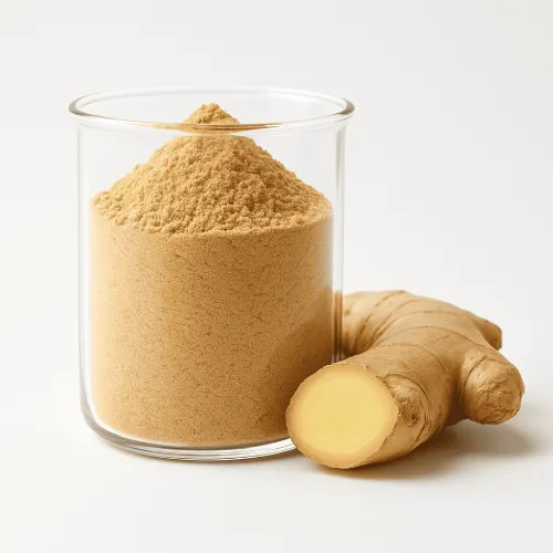 Estratto di Radice di Zingiber Officinale